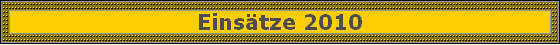 Eins�tze 2010