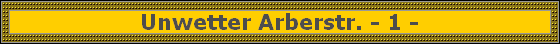 Unwetter Arberstr. - 1 -